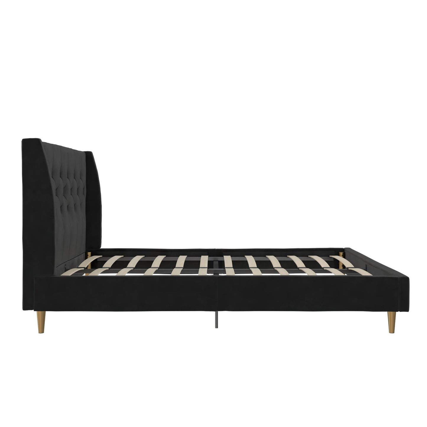 Novogratz Her Majesty Upholstered Bed, Queen, Black Velvet - Black - Queen