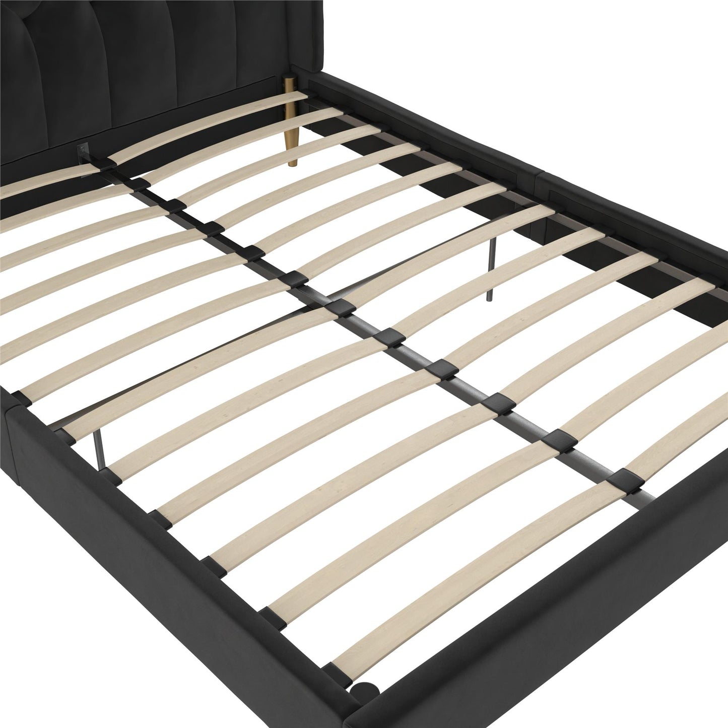 Novogratz Her Majesty Upholstered Bed, Queen, Black Velvet - Black - Queen