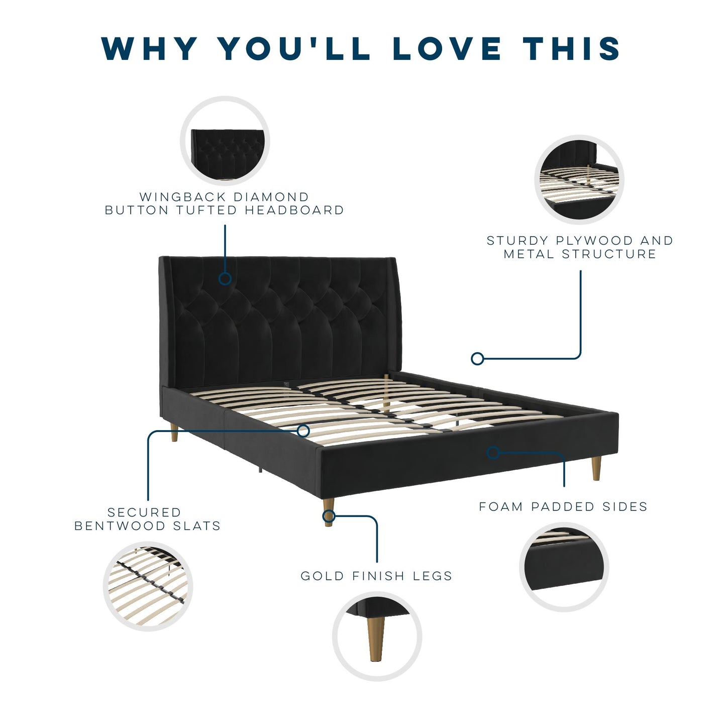 Novogratz Her Majesty Upholstered Bed, Queen, Black Velvet - Black - Queen