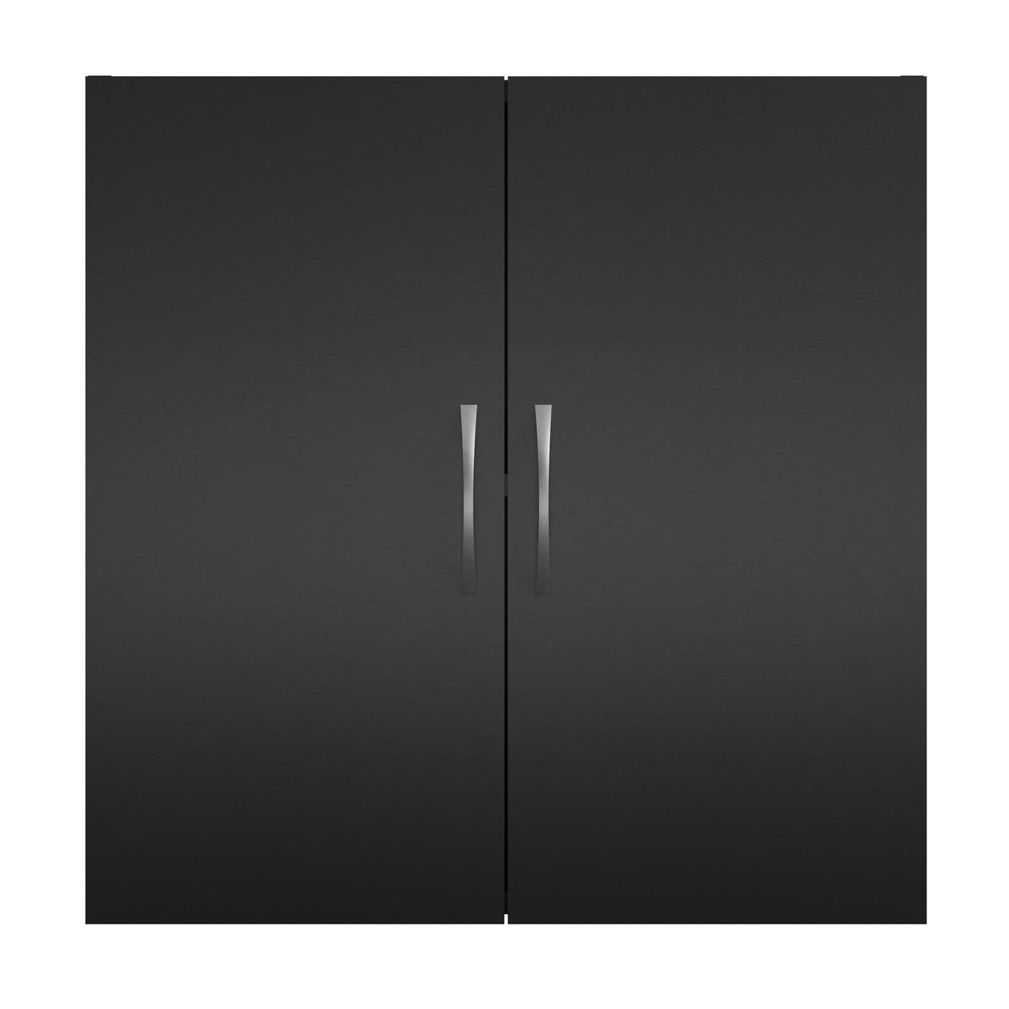 Basin 24 Inch 2 Door Wall Storage Cabinet - Black