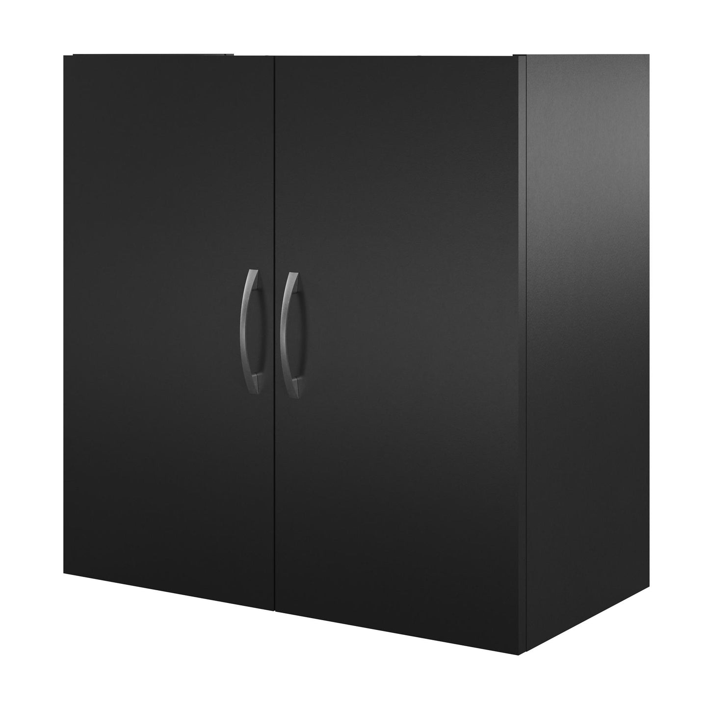 Basin 24 Inch 2 Door Wall Storage Cabinet - Black