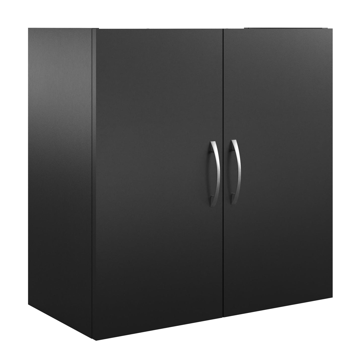 Basin 24 Inch 2 Door Wall Storage Cabinet - Black