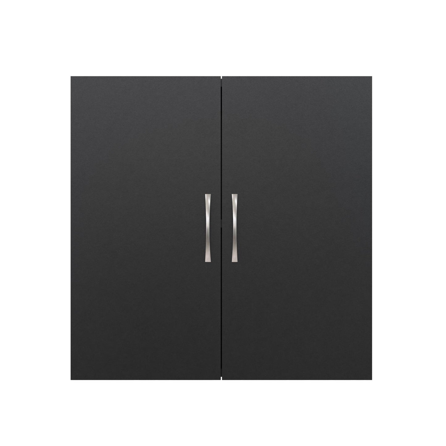 Basin 24 Inch 2 Door Wall Storage Cabinet - Black