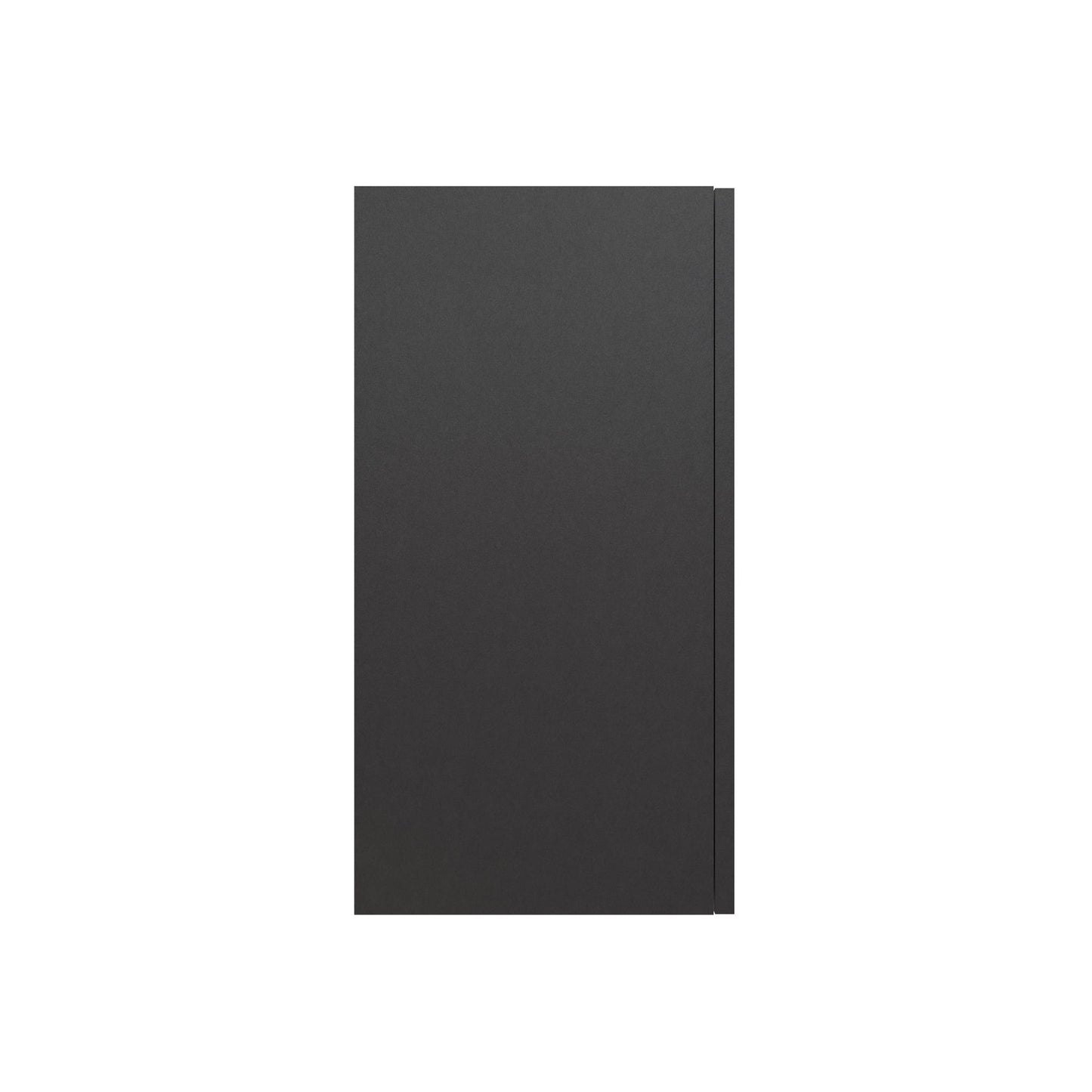 Basin 24 Inch 2 Door Wall Storage Cabinet - Black