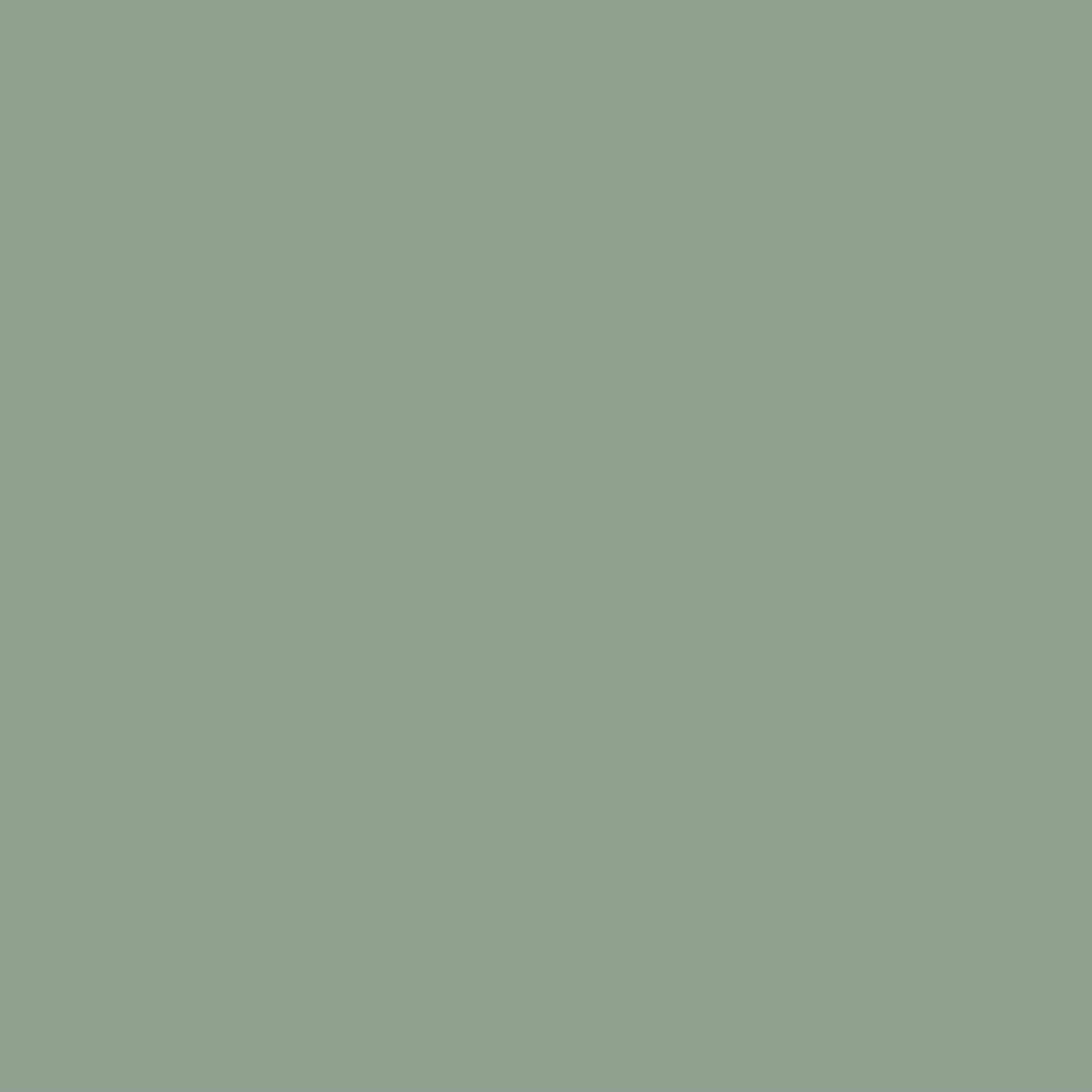 Shadwick 2 Door Metal Locker Storage Cabinet with 3 Shelves - Pale Green