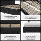 Elizabeth Upholstered Bed with Storage - Black - Queen