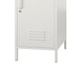 Mission District 2 Door Cabinet - White