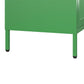 Novogratz Channing 2 Door Accent Cabinet-Mesh Metal Locker - Kelly Green
