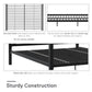 DHP Remna Queen Metal Canopy Bed, Black - Black - Queen