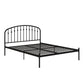 DHP Narla Metal Platform Bed Frame, Queen, Black - Black - Queen