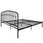 DHP Narla Metal Platform Bed Frame, King, Black - Black - King