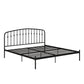 DHP Narla Metal Platform Bed Frame, King, Black - Black - King
