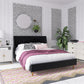 Novogratz Her Majesty Upholstered Bed, Queen, Black Velvet - Black - Queen