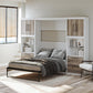 Single Side Cabinet Glass Shelf LED Lighting - Ironwood