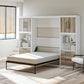 Single Side Cabinet Glass Shelf LED Lighting - Ironwood