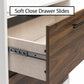 Single Side Cabinet Glass Shelf LED Lighting - Ironwood