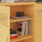 Annie Retro Short 2 Door Cabinet - N/A