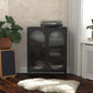 Luna Short 2 Door Accent Cabinet with Fluted Glass - Black