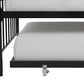 Bright Pop Metal Daybed with Trundle - Black - Twin