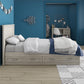 Sierra Ridge Levi Bed with 2 Large Storage Drawers - Light Walnut - Twin