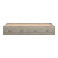 Sierra Ridge Levi Bed with 2 Large Storage Drawers - Light Walnut - Twin
