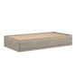 Sierra Ridge Levi Bed with 2 Large Storage Drawers - Light Walnut - Twin