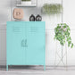 Cache 2 Door Metal Locker Storage Cabinet - Spearmint