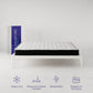 Vitality 8 Inch Encased Coil with Charcoal Infused Memory Foam Hybrid Mattress - White - King