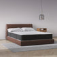Vitality 10 Inch Encased Coil with Charcoal Infused Memory Foam Hybrid Mattress - White - Full