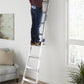 2-in-1 Step and Extension Ladder with 300-lb Weight Capacity - Silver Metallic