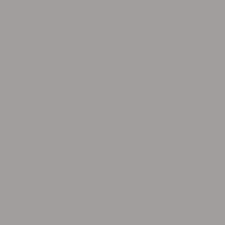 Patio Dining Chairs with Armrests and Sled Legs, Set of 6 - Light Gray