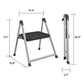 1 Step Steel Step Stool with 200 lb Weight Capacity - Platinum/Black - 1 Step 