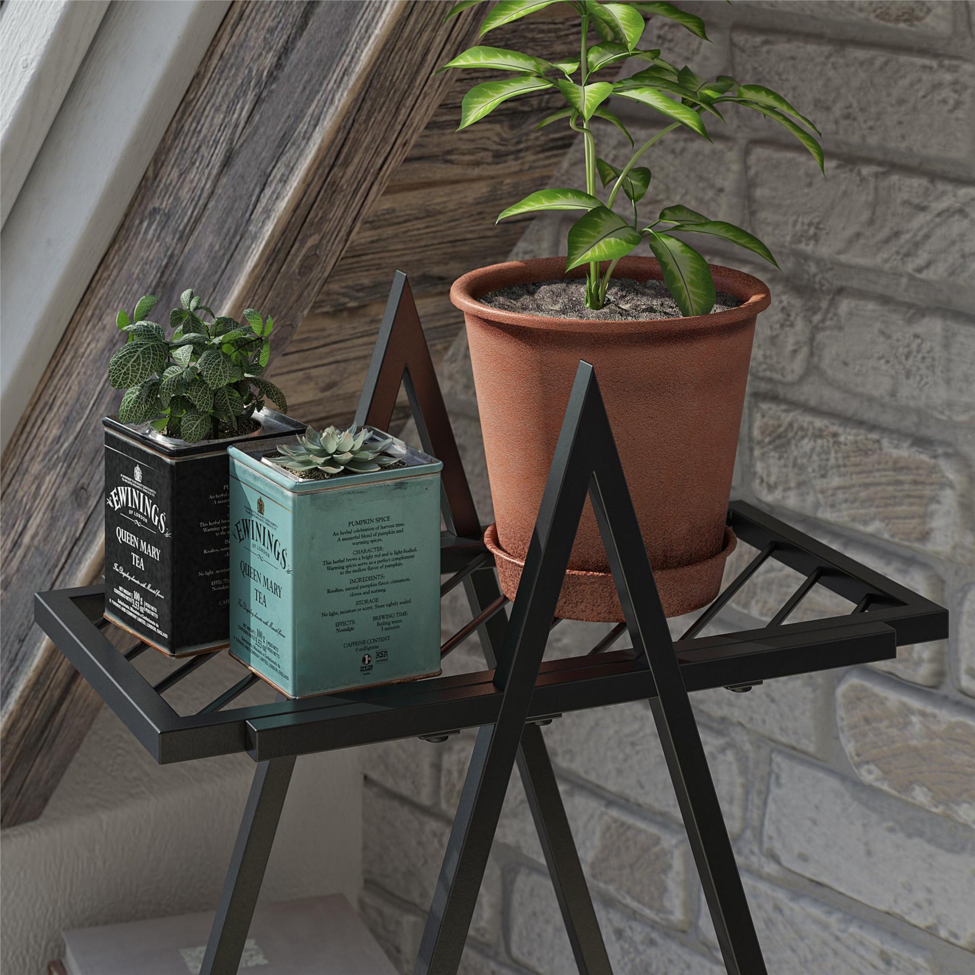 Botanika Plant Stand with 2 Metal Shelves for Potted Flowers - Black