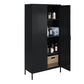 Shadwick Tall 2 Door Closed Metal Storage Locker Cabinet - Black