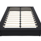 Maven Upholstered Bed with Modern Low Profile Design - Black - Queen