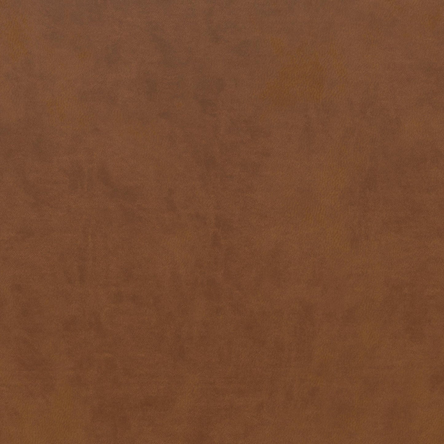 Brittany Armless Futon - Camel