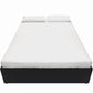 Maven Platform Bed with 2 Rollout Drawers for Storage - Black Faux Leather - Queen