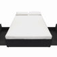 Maven Platform Bed with 2 Rollout Drawers for Storage - Black Faux Leather - Queen