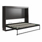 Full Size Daybed Wall Bed, Espresso - Espresso