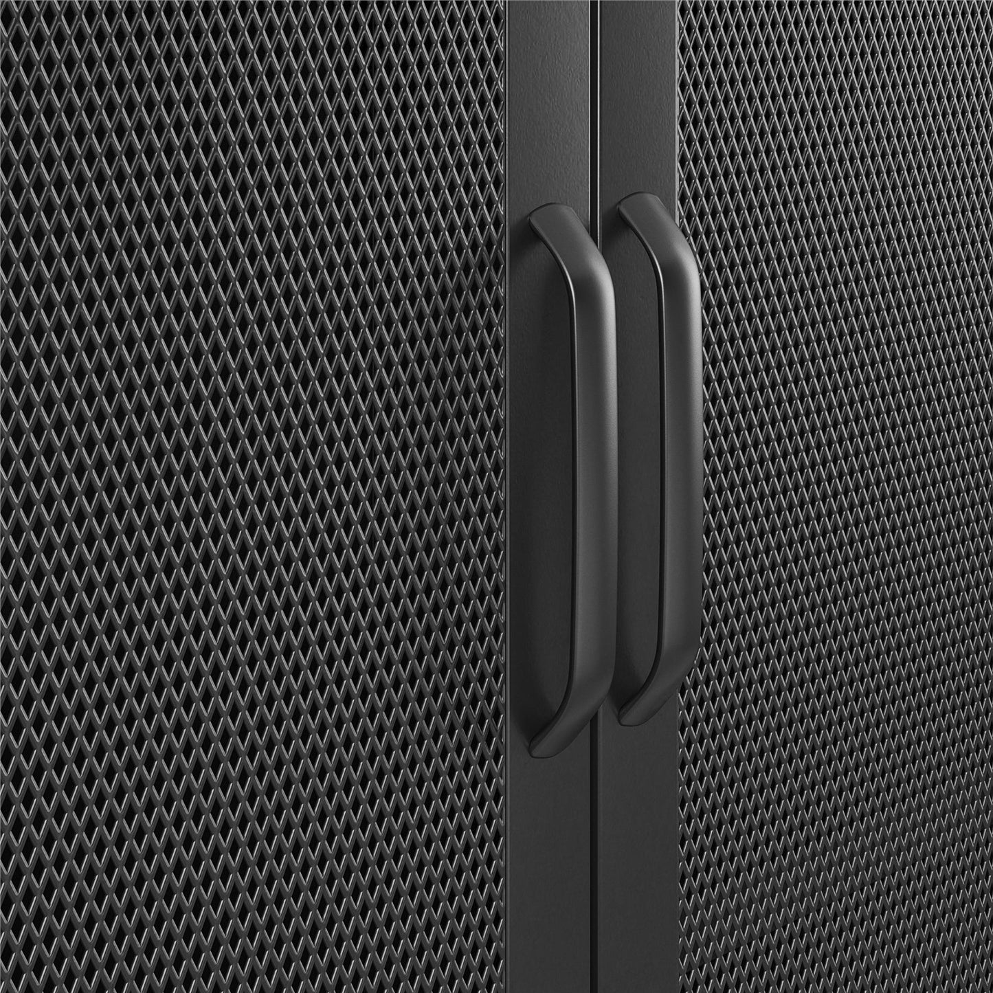 Sunset District 2 Door Accent Cabinet-Mesh Metal Locker, Black - Black