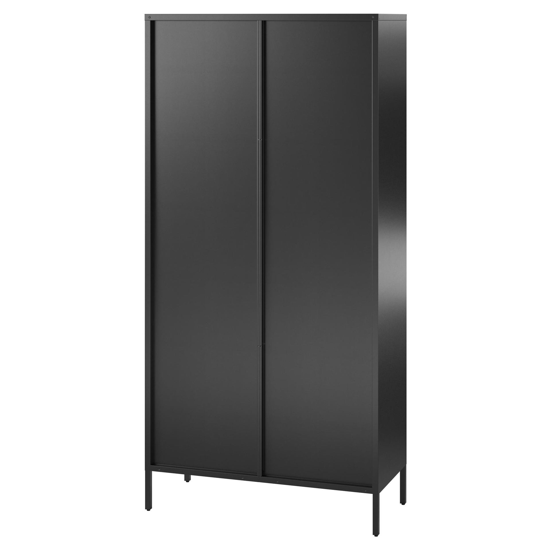 Ashbury Heights Tall 2 Door Storage Cabinet-Fluted Glass Metal Locker, Black - Black