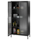 Ashbury Heights Tall 2 Door Storage Cabinet-Fluted Glass Metal Locker, Black - Black
