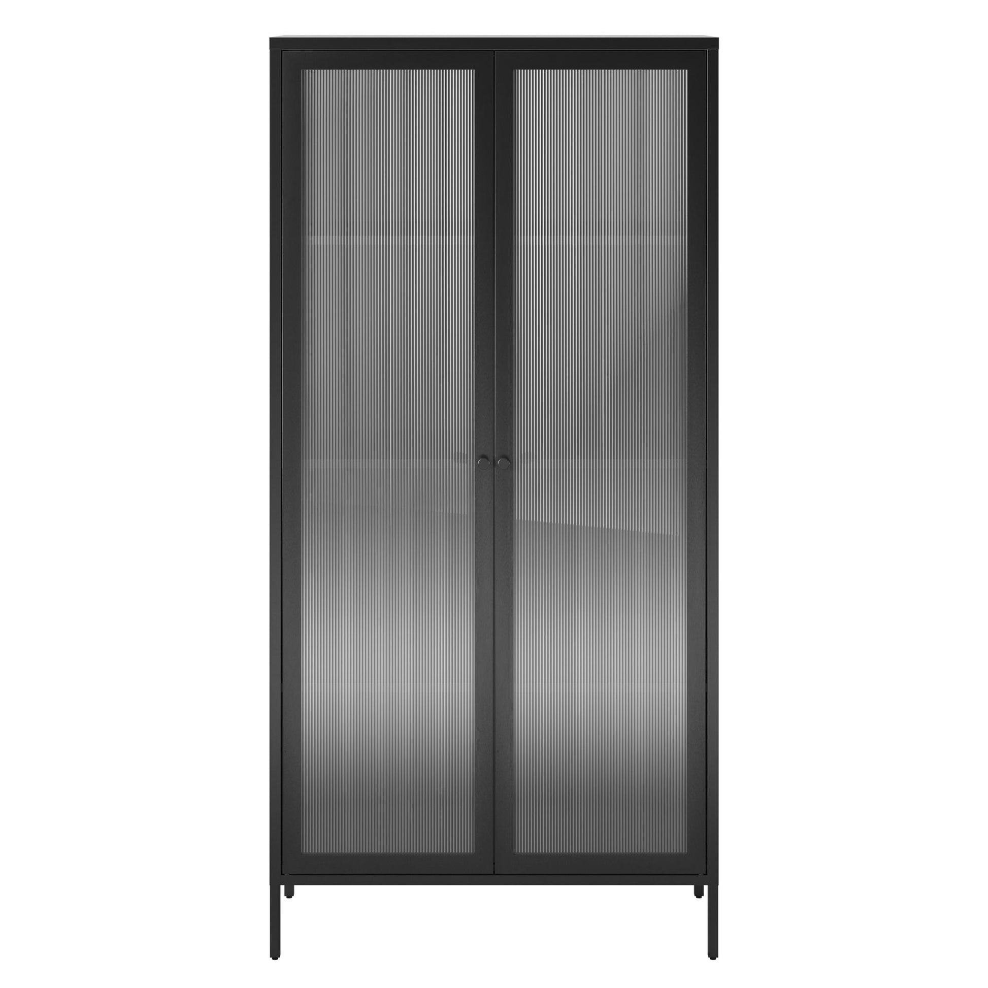 Ashbury Heights Tall 2 Door Storage Cabinet-Fluted Glass Metal Locker, Black - Black