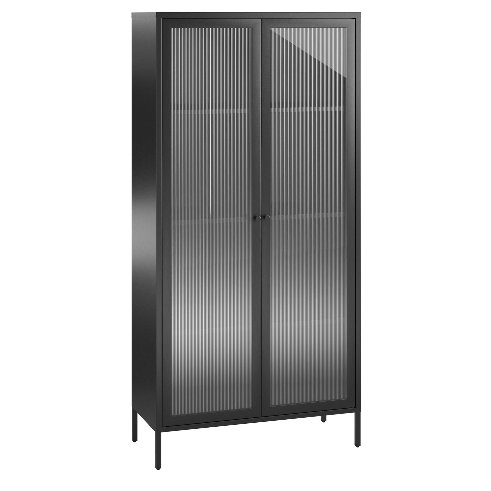 Ashbury Heights Tall 2 Door Storage Cabinet-Fluted Glass Metal Locker, Black - Black