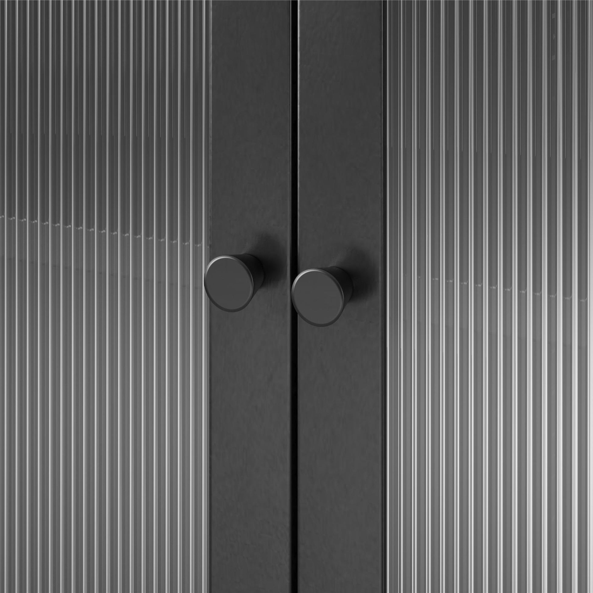 Ashbury Heights Tall 2 Door Storage Cabinet-Fluted Glass Metal Locker, Black - Black