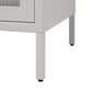 Ashbury Heights 2 Door Storage Cabinet-Fluted Glass Metal Locker, White - White