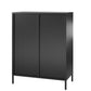 Ashbury Heights 2 Door Accent Cabinet-Fluted Glass Metal Locker, Black - Black