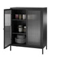 Ashbury Heights 2 Door Accent Cabinet-Fluted Glass Metal Locker, Black - Black
