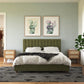 Brittany Upholstered Bed - Green - Queen
