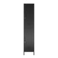 Mission District 2 Door Cabinet - Black